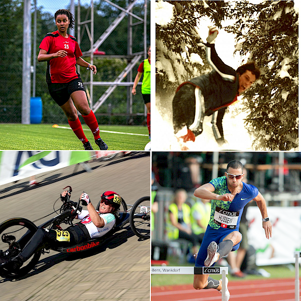 Testimoni contemporanei